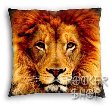 Vankúš LION